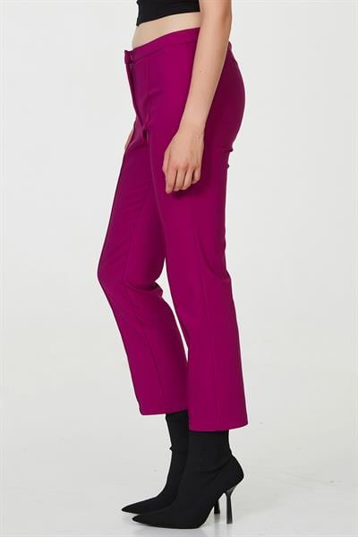 Standart Fit Pantolon 223-3501
