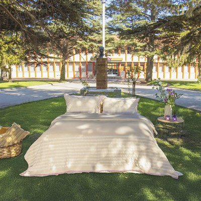 ALMIRA Z PİKE TAKIMI