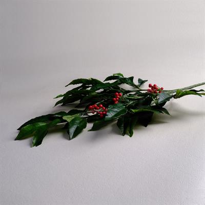 ARDISIA SPRAY DEKORATİF ÇİCEK