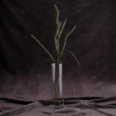 ASTILBE DEKORATİF ÇİCEK