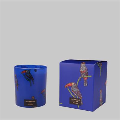 TOUCAN RAIN FOREST MUM