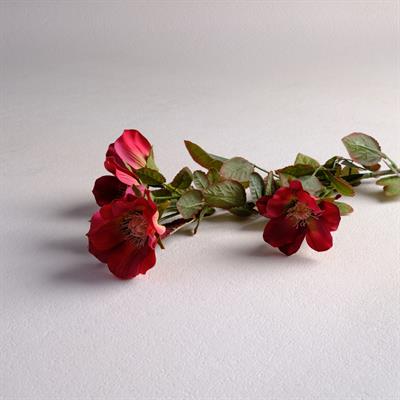 WILD ROSE DEKORATİF ÇİCEK