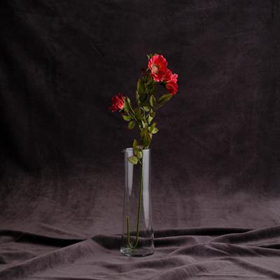 WILD ROSE DEKORATİF ÇİCEK