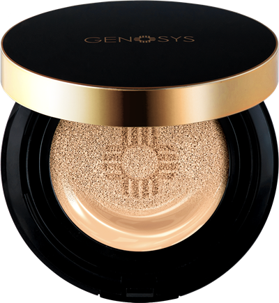 BBC CUSHION KAMPANYASI