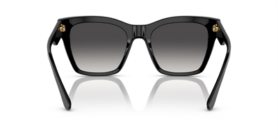 DOLCE&GABBANA DG 4384 501/8G 53