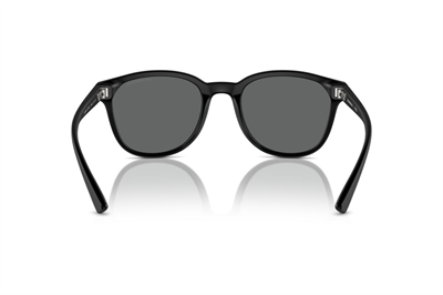 EMPORIO ARMANI EA 4225U 5001/87 53