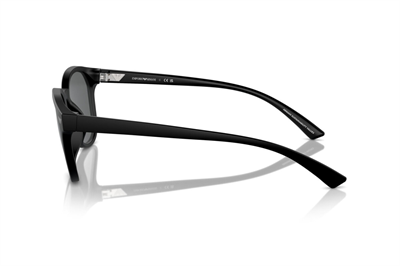 EMPORIO ARMANI EA 4225U 5001/87 53