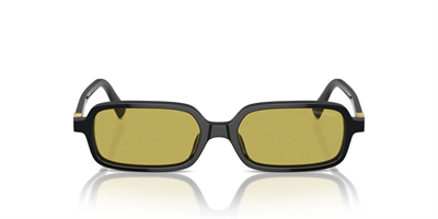 MIU MIU SMU 11ZS 16K070 51