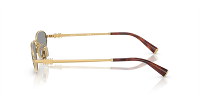 MIU MIU SMU A52 54K400 52