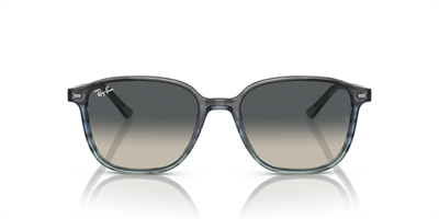 RAYBAN RB 2193 Leonard 1381/71 53