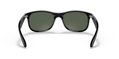 RAYBAN RB 4202 Andy 6069/71 55