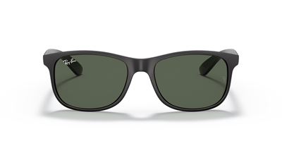 RAYBAN RB 4202 Andy 6069/71 55