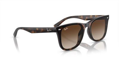 RAYBAN RB 4420 710/13 65