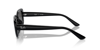 RAYBAN RB 4421 6677/87 56