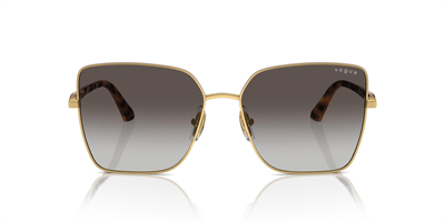 VOGUE VO 4199-S 51988G 58