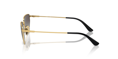 VOGUE VO 4316-S 280/8G 56