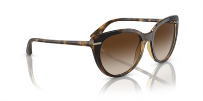 VOGUE VO 5498-SI W65613 56