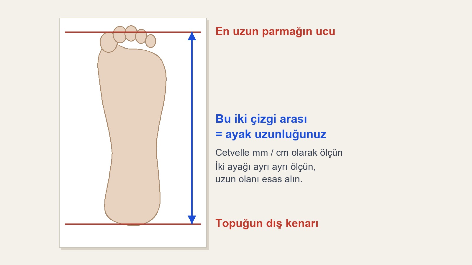 Evde ayak ölçüsü alma: kâğıt üzerinde topuk ve en uzun parmak ucu işaretli ayak şeması
