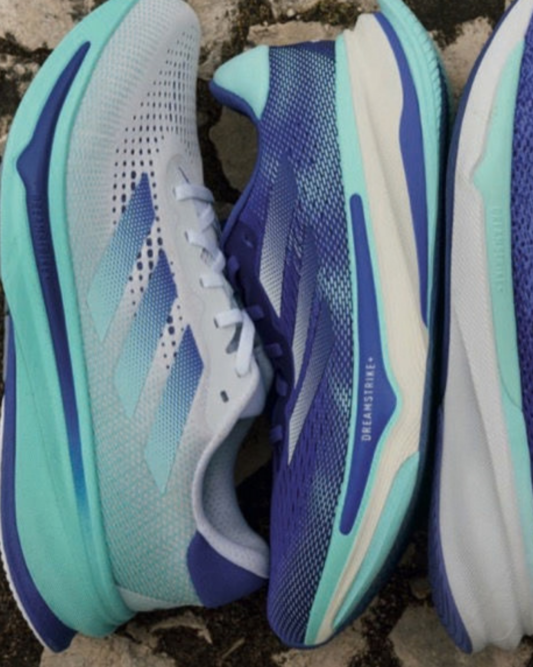 adidas koleksiyonu