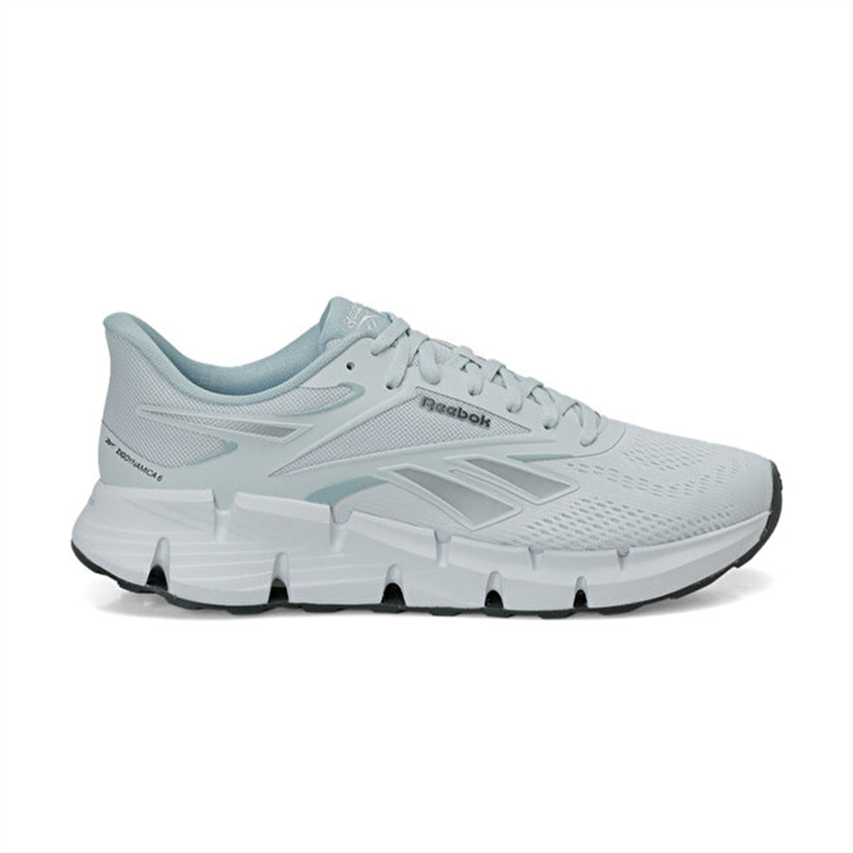 Reebok 6M Zıg Dynamıca 6 Erkek Koşu Ayakkabısı 102270326