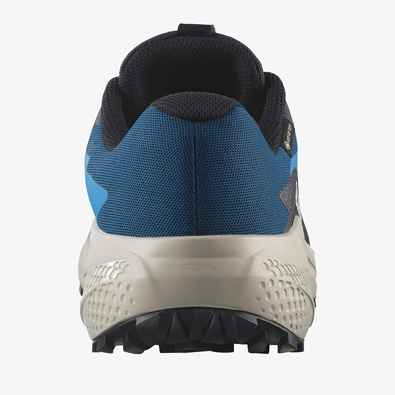 Salomon Mavi Salomon Alphaglide Gore Gore-Tex Erkek Ayakkabısı