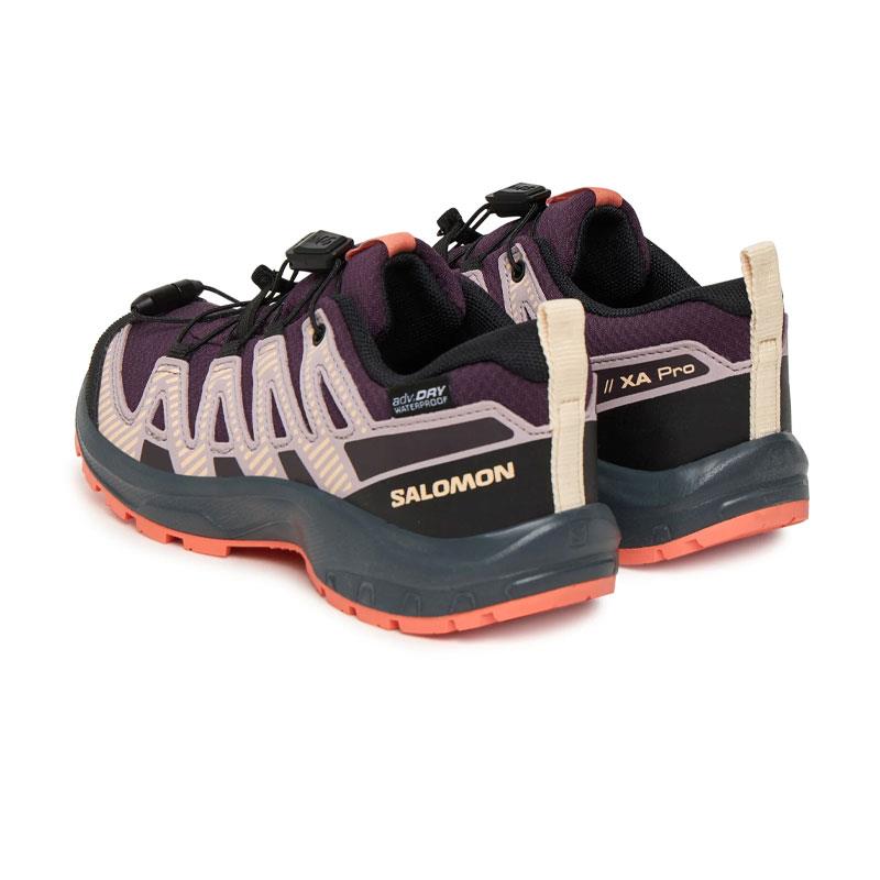 Salomon Mor Salomon Xa Pro V8