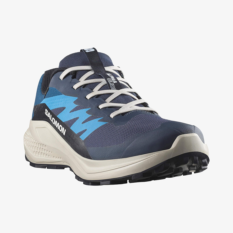 Salomon Mavi Salomon Alphaglide Gore Gore-Tex Erkek Ayakkabısı