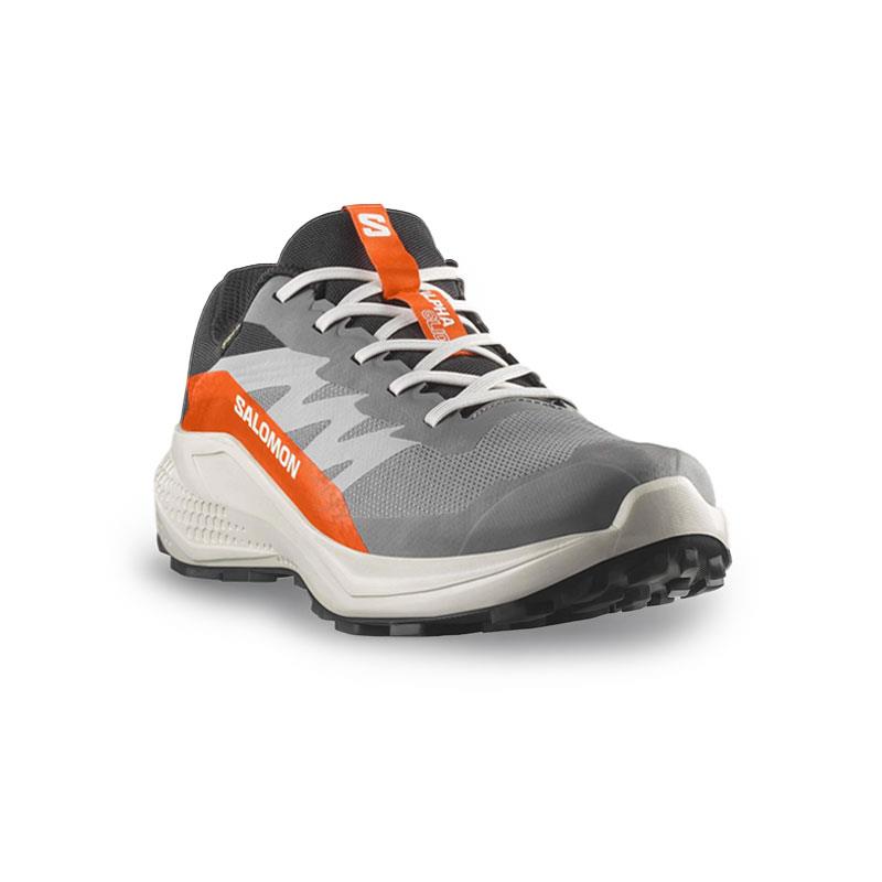 Salomon Gri Salomon Alphaglide Gore Gore-tex