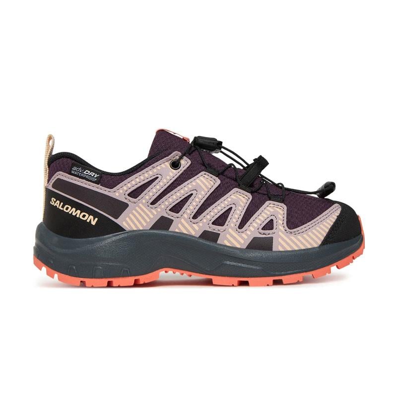 Salomon Mor Salomon Xa Pro V8