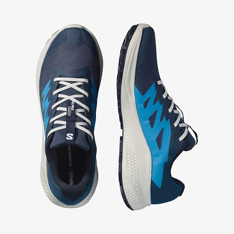 Salomon Mavi Salomon Alphaglide Gore Gore-Tex Erkek Ayakkabısı