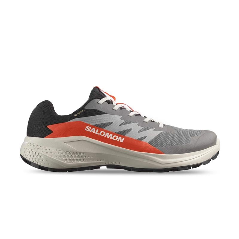 Salomon Gri Salomon Alphaglide Gore Gore-tex