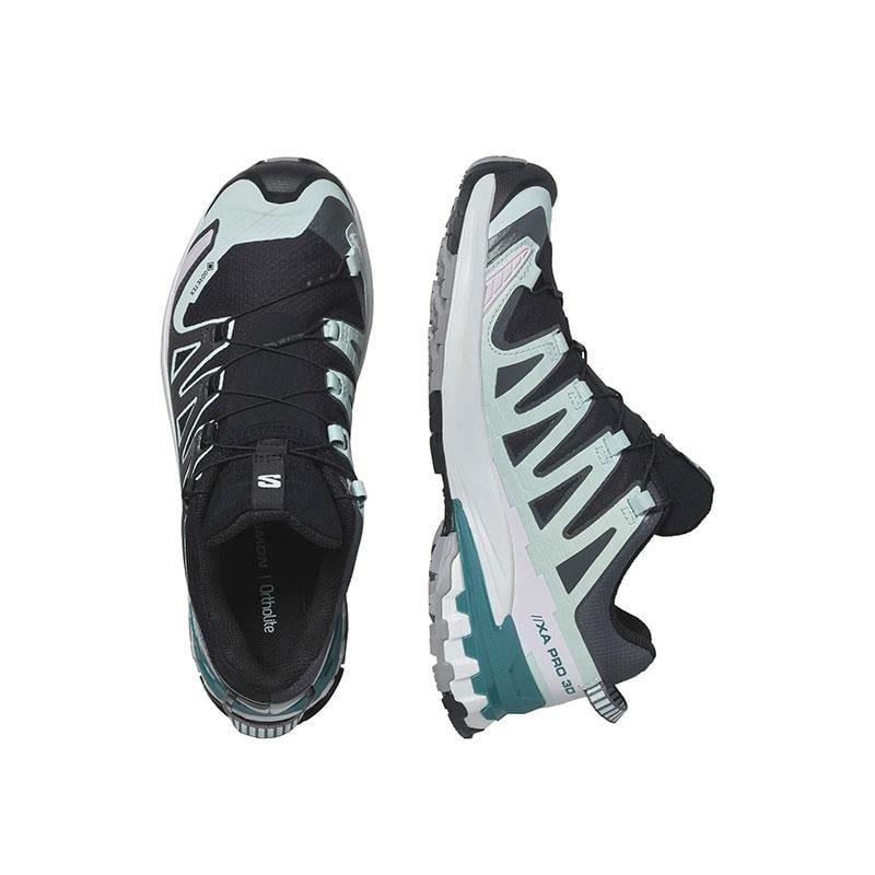 Salomon Siyah Salomon Xa Pro 3D V9