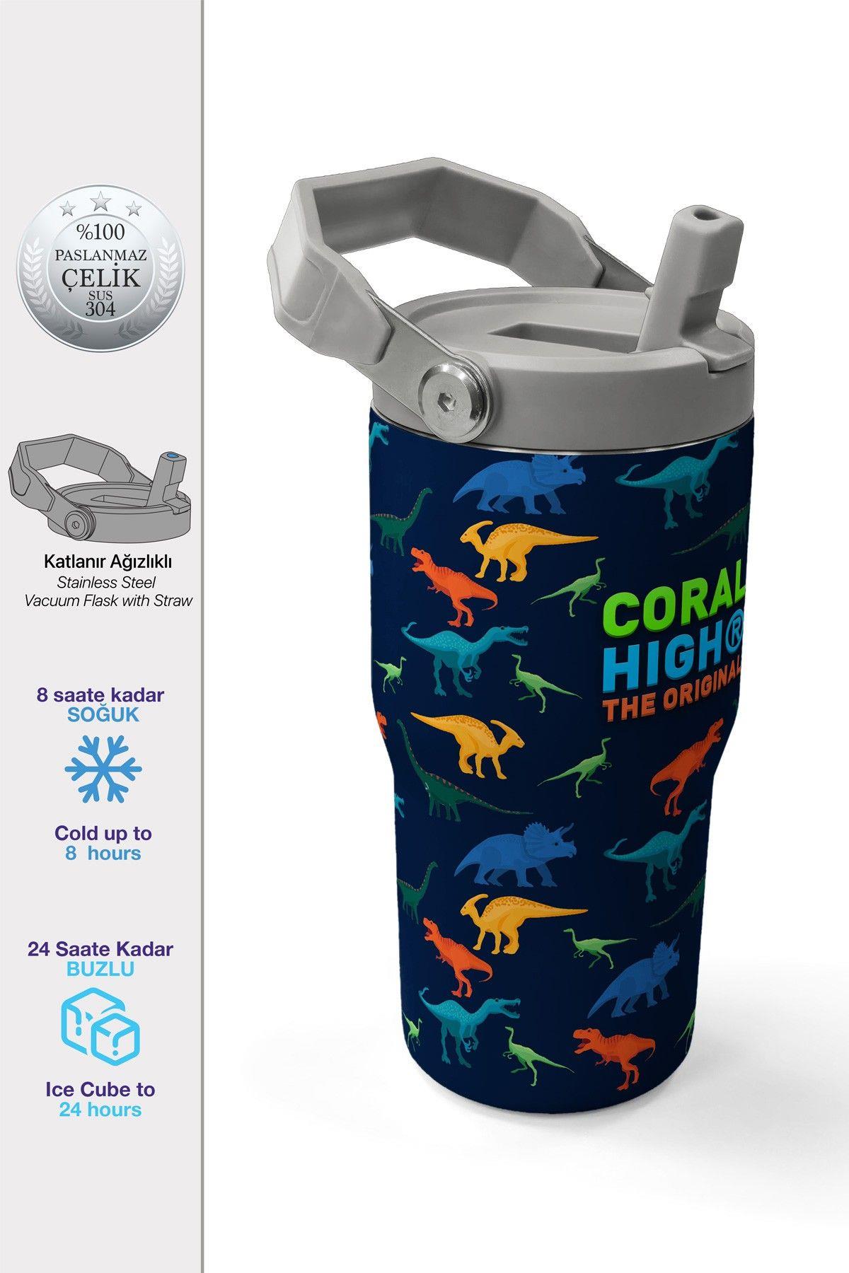 Coral High 600 ml Pipetli ve Kulplu Lacivert Mavi Dinazor Baskılı Erkek Çocuk Matara 38920