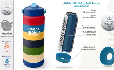 Coral High 650 ml Erkek Çocuk Çok Renkli Çizgi Desenli Çelik Suluk/Matara (Pipetli) 38312