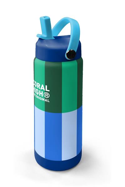 Coral High 650 ml Erkek Çocuk Mavi Yeşil Çizgi Desenli Çelik Suluk/Matara (Pipetli) 38311