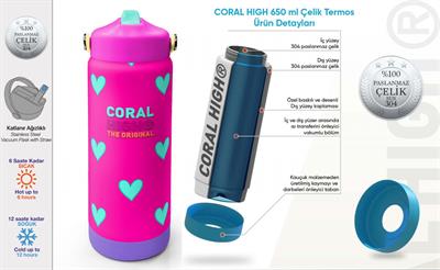 Coral High 650 ml Kız Çocuk Pembe Su Yeşili Kalp Baskılı Çelik Suluk/Matara (Pipetli) 38376