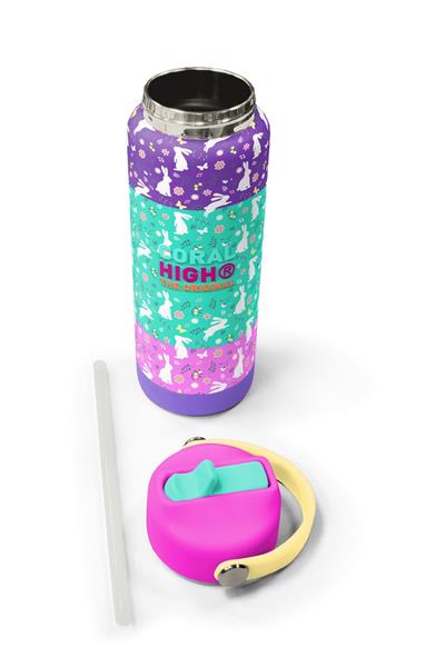 Coral High 650 ml Kız Çocuk Yeşil Pembe Bisikletli Kız Çelik Suluk/Matara (Pipetli) 38394