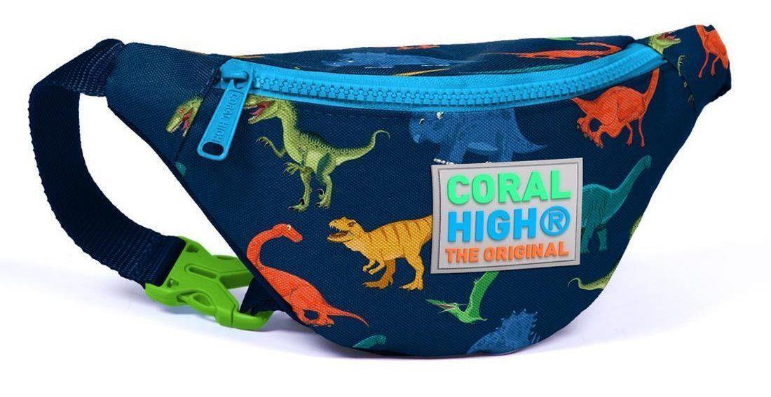Dinazor Desenli Erkek Çocuk Bel Çantası- Coral High