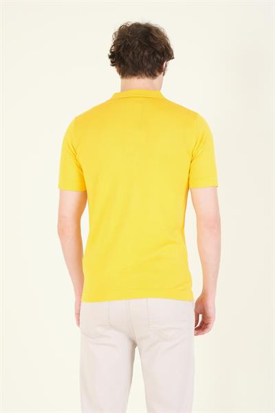 Erkek Çizgili Polo Yaka Merserize T-Shirt Sarı
