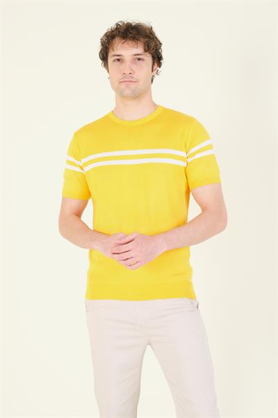 Erkek Sıfır Yaka Çizgili Merserize T-Shirt Sarı