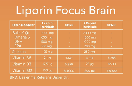 Focus Brain İcerik