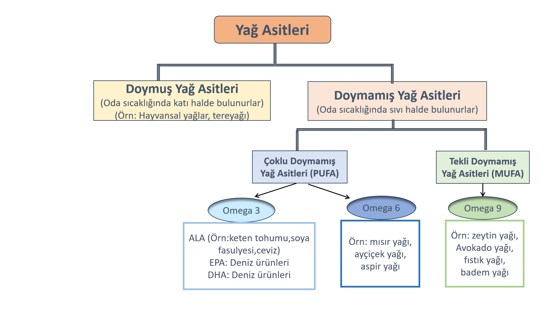Görsel 1 Alanı Yağ Asitleri Şeması