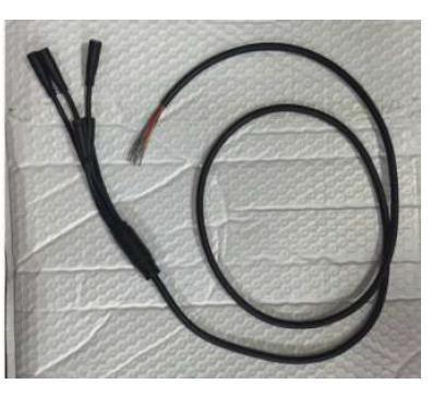 Fat Bike Tesisat - 6 Pin
