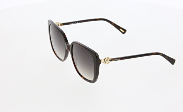 OSSE 3406 02 56