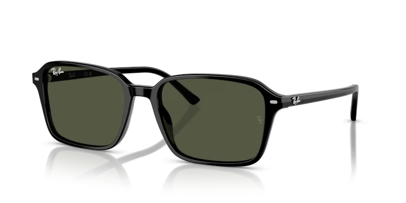 RAY-BAN 2231 901/31 56