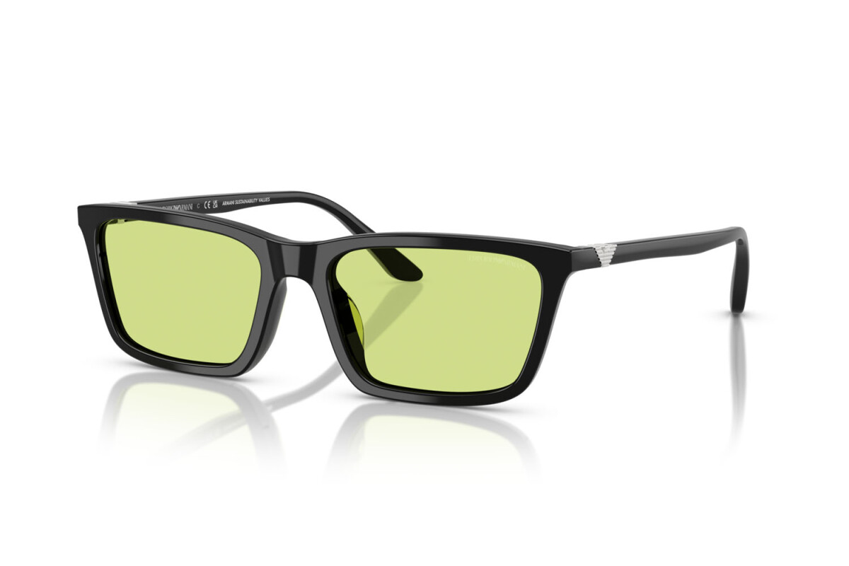 EMPORIO ARMANI 4239U 5017/2 55