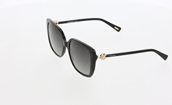 OSSE 3406 01 56