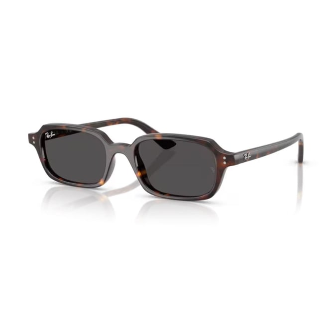 RAY-BAN 4455 135987 49