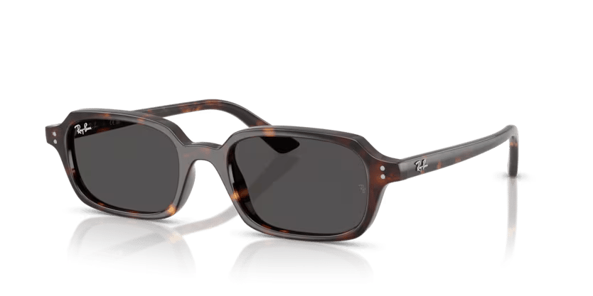 RAY-BAN 4455 135987 52
