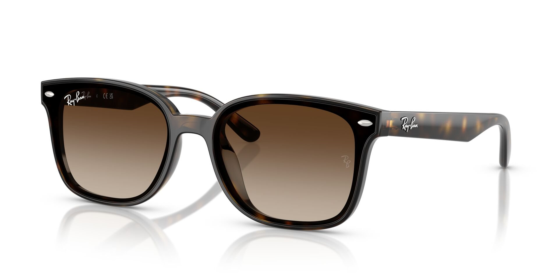 RAY-BAN 4461D 710/13 64